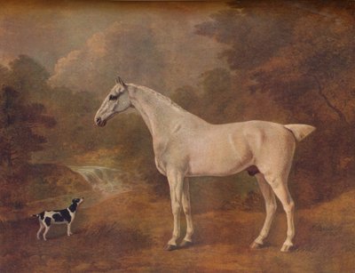 A Flea-Bitten Grey and a Spotted Terrier by John Boultbee
