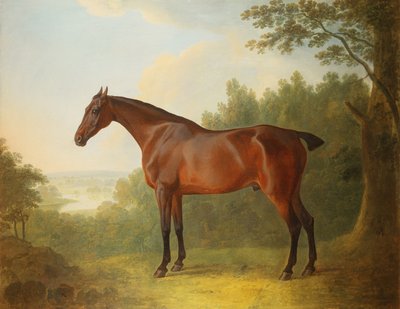 Marquis, a Bay Hunter in a Landscape by John Boultbee