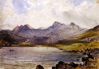 Near Llyn Crafrant, Wales by John Brett