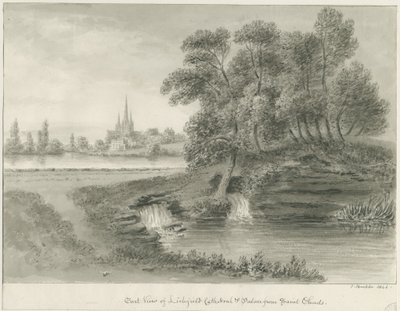 Lichfield Cathedral - East View by John Buckler