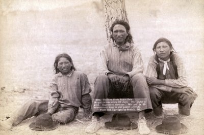 Three Lakota Teenage Boys in Western Clothing, 1891 by John C. H. Grabill