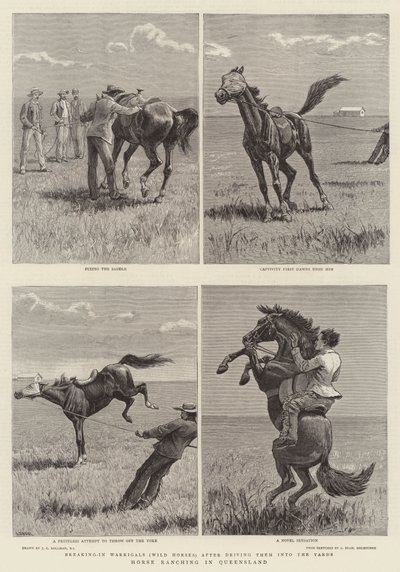 Horse Ranching in Queensland by John Charles Dollman
