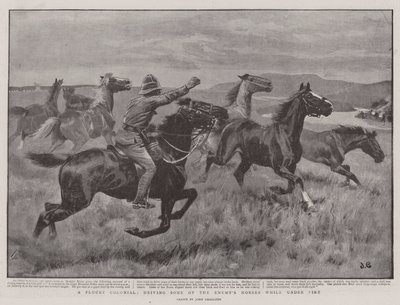 A Plucky Colonial, driving some of the Enemy