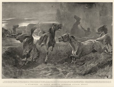 A Stampede, an Early Morning Surprise Attack spoilt by John Charlton