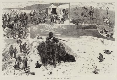 The Grouse Harvest by John Charlton