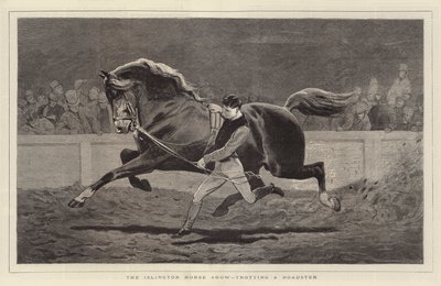 The Islington Horse Show, trotting a Roadster by John Charlton