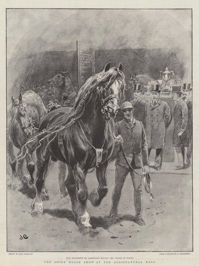 The Shire Horse Show at the Agricultural Hall by John Charlton
