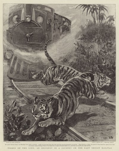 Tigers on the Line, an Incident in a Journey on the East Indian Railway by John Charlton