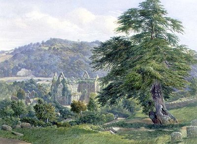 Tintern Abbey with the Wye Beyond by John Chase