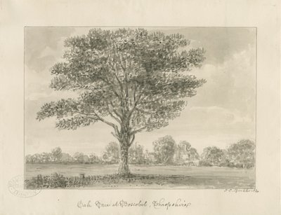 Boscobel - The Royal Oak by John Chessell Buckler