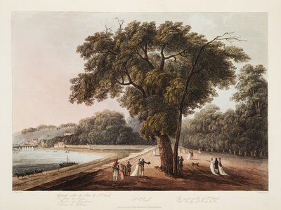 St Cloud, The Great Walk of St Cloud, The Bridge of Sevres, etc., illustration from Versailles, Paris and Saint Denis by John Claude Nattes