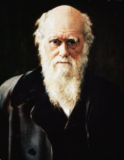 Portrait of Charles Darwin (Detail) by John Collier