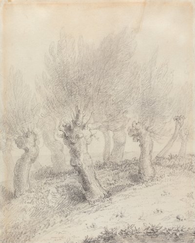 Pollarded Willows by John Constable