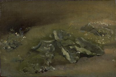 Study of a Burdock by John Constable