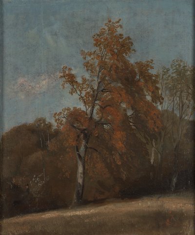 Study of an Ash Tree by John Constable