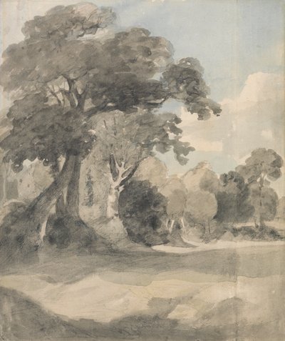 Trees in a Meadow by John Constable