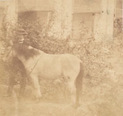 Man and Horse, Government House, Allahabad by John Constantine Stanley