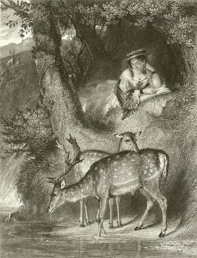 Mountain Solitude by John Corbould