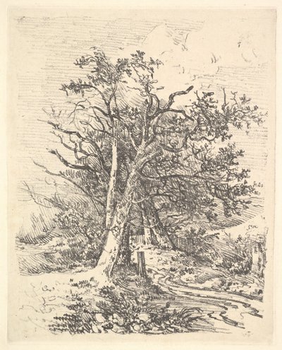 Tree Trunks and Lane by John Crome