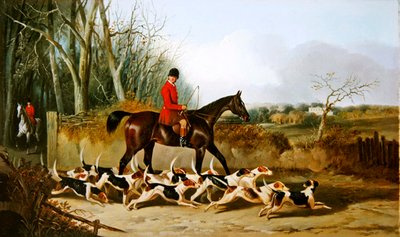Crocteth Harriers, Back of Stanfield by John Dalby