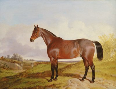 Study of a Bay Hunter in a landscape, 1854 by John Dalby