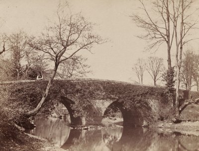 The Country Bridge Staplylton Bridge, Bristol by John Dillwyn Llewelyn