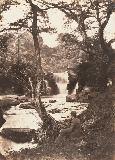 The Upper Fall by John Dillwyn Llewelyn