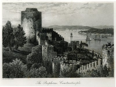 The Bosphorus, Constantinople, engraved by J. Godfrey by John Douglas Woodward