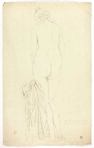Capitoline Venus by John Downman