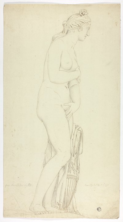 Antique Statue of Standing Venus by John Downman