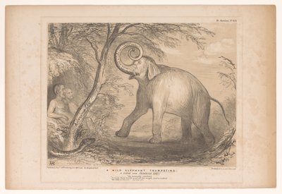 Caricature with Lord Ellenborough as a Wild Elephant, HB Sketches (series title) by John Doyle