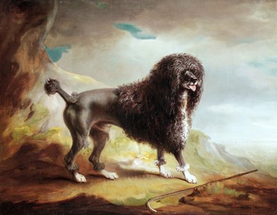A Clipped Water Spaniel by John E. Ferneley