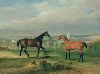 Count Bathyanys Favourite Hunters at Melton Mowbray by John E. Ferneley