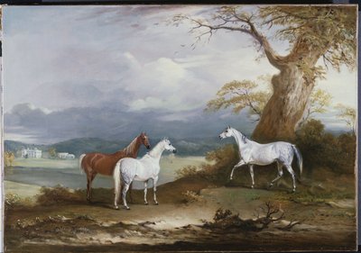 Lord Macdonald