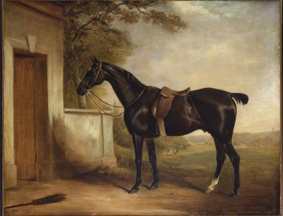 Portrait of Buckle, First Lord Chesham