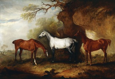 Three Hunters Belonging to Robert Myddelton-Biddulph by John E. Ferneley