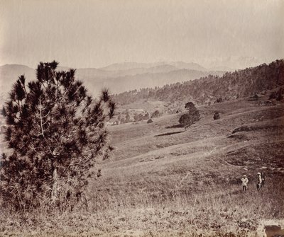 Landscape with Tree and Three Men, India by John Edward Saché