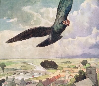 Bird flying over a town, illustration from 