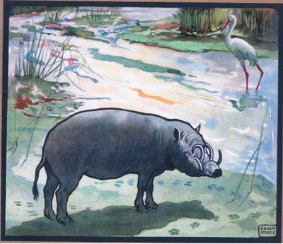 Bush Pig (Red River Hog) by John Edwin Noble