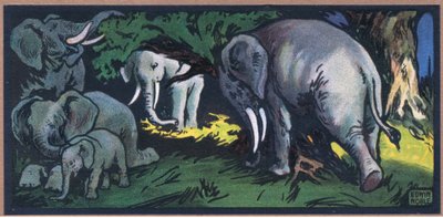 Elephant in the Wilds by John Edwin Noble