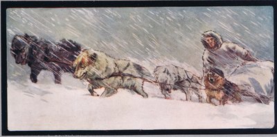 Huskies pulling a sleigh, illustration from 