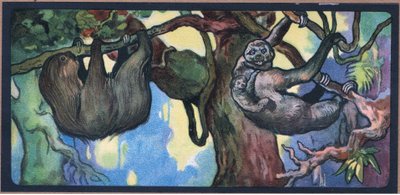 Sloth by John Edwin Noble