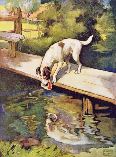 The Dog and the Shadow (book illustration) by John Edwin Noble