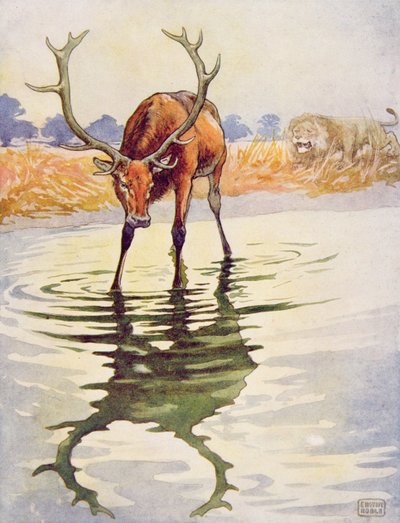 The Stag and its Reflection (book illustration) by John Edwin Noble