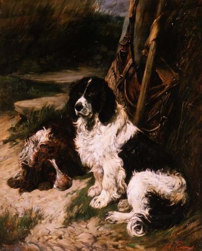 Brown and White and Black and White Spaniel by John Emms