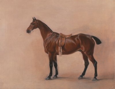Study of a Saddled Bay Hunter by John Ferneley