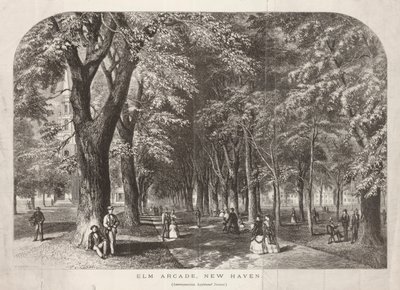 Elm Arcade View of the Green by John Filmer