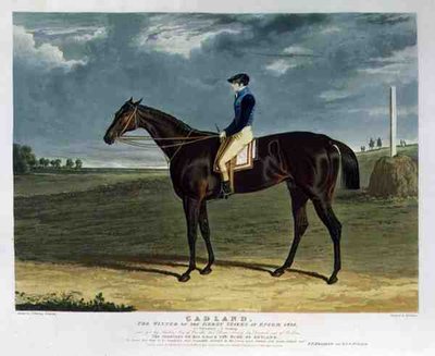 Cadland, the Winner of the Derby Stakes at Epsom by John Frederick Herring Snr