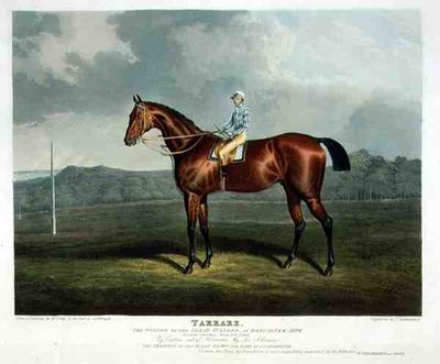 Tarrare, the Winner of the Great St. Leger at Doncaster by John Frederick Herring Snr