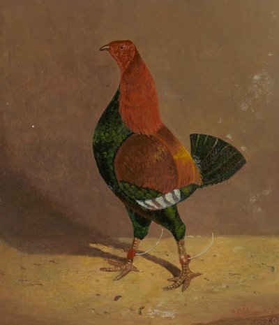 Fighting Cocks: a Dark-Breasted Fighting Cock, Facing Left by John Frederick Herring